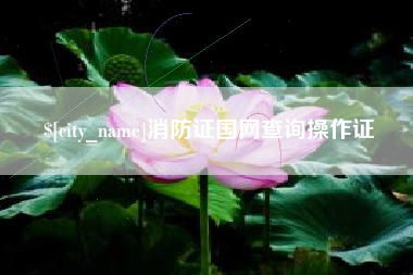 黄南消防证国网查询操作证