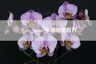 黄南中国消防官方