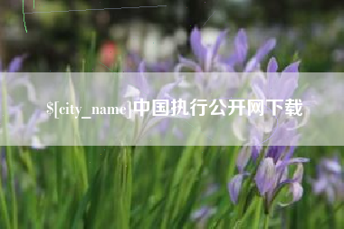 黄南中国执行公开网下载