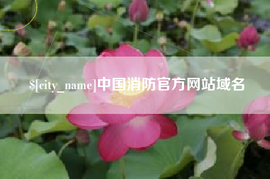 黄南中国消防官方网站域名