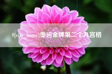 黄南奥运金牌第二个九宫格