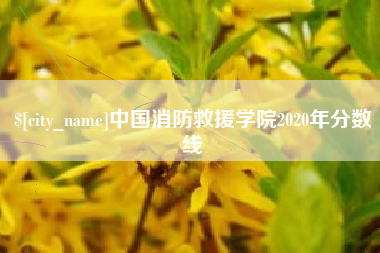 黄南中国消防救援学院2020年分数线