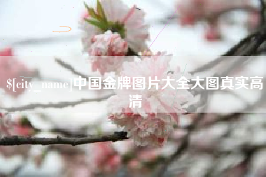 黄南中国金牌图片大全大图真实高清