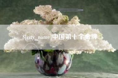 黄南中国第十个金牌