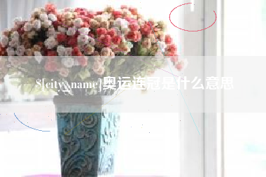 黄南奥运连冠是什么意思