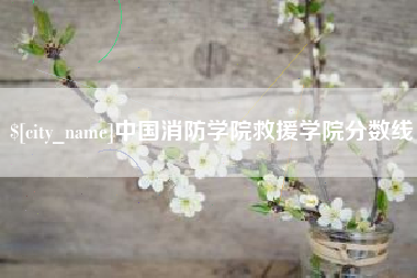 黄南中国消防学院救援学院分数线