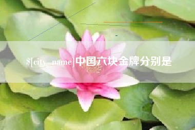 黄南中国六块金牌分别是