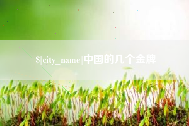 黄南中国的几个金牌