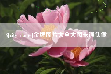 黄南金牌图片大全大图卡通头像