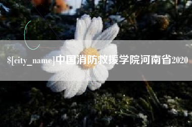 黄南中国消防救援学院河南省2020